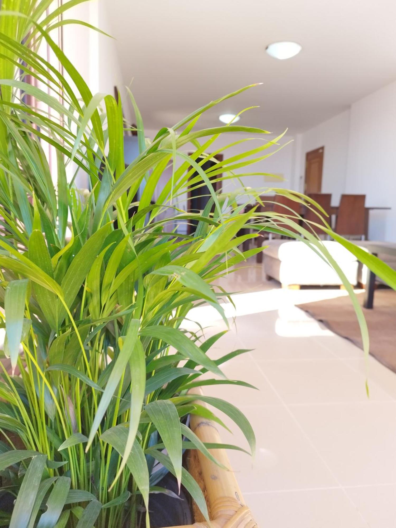 Vivienda Vacacional Compartida Radazul Panzió Kültér fotó